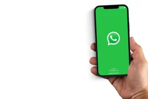 Where Are WhatsApp Messages Stored  - 85