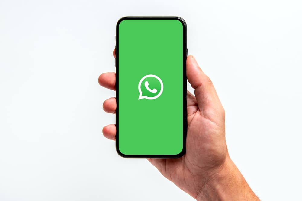 What Does "SFS" Mean on WhatsApp